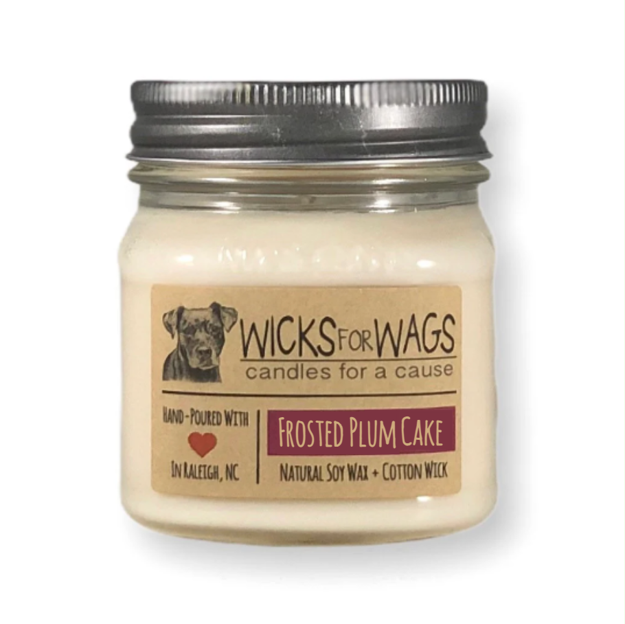 Discounted 2-Pack  Large Mason Jars – wicksforwags